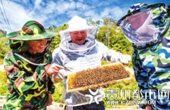 <b>贵州14个贫困县拟“摘帽”</b>