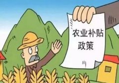 <b>三农补贴：2018年，农村低保新政三大变化</b>