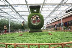 <b>泸州：董允坝农业示范园 开辟农民增收致富新路径</b>