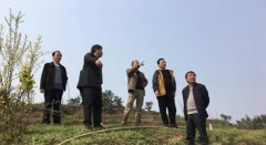 <b>长宁县：酿酒专用粮育秧忙</b>