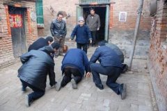 豫北农村磕头拜年、集体仪式与社会整合