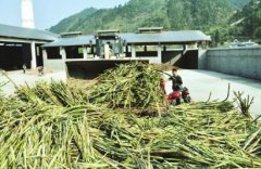 <b>古蔺太平大变样，当地群众要致富啦！</b>