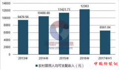 <b>振兴乡镇经济，从电商扶贫着手大力发展农村电商</b>