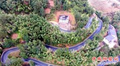 <b>福建永春：农村公路成为村民“致富路”</b>