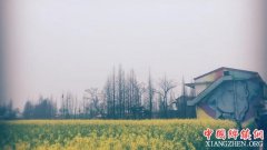 <b>荒滩上建起美丽乡村--湖南首个涂鸦艺术村见闻</b>