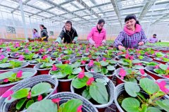 <b>幸福像花儿一样</b>