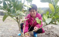 <b>农妇变“创客”撑起乡村半边天</b>