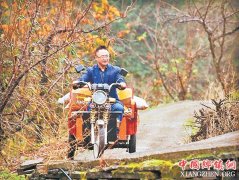 <b>无量山上 带动万余农户种果树增收</b>