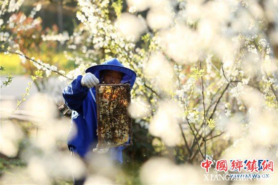 #（经济）（1）春来农事忙