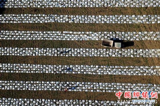 #（经济）（2）春来农事忙