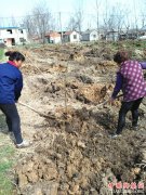 <b>安徽：怀远县兰桥乡两百亩“荒废地”变成 “致富田”</b>