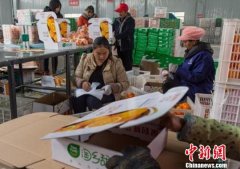 <b>农村淘宝年销售超千亿 电商扶贫助力乡村振兴</b>