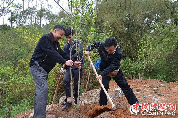 图片默认标题_fororder_植树_副本