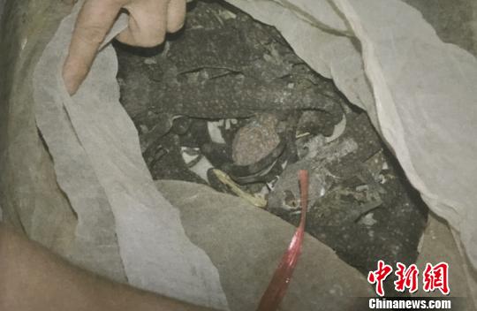 广西东兴男子贩卖千只大壁虎获刑10年