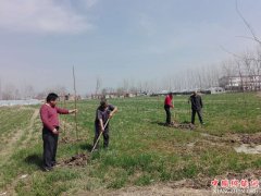 <b>安徽：怀远县兰桥乡组织党员干部助力群众“闹春耕”</b>