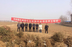 <b>杏林镇： 区域绿化及设施农业二期项目开工了</b>