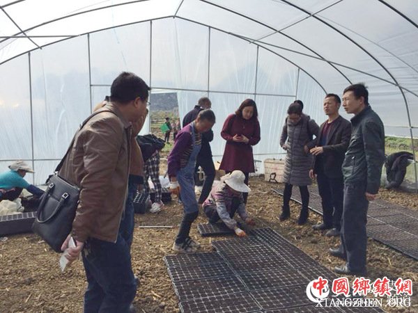 镇宁：农业专家集中会诊扁担山脱贫攻坚