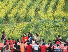 <b>油菜花开带火山村全域旅游</b>