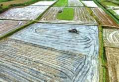 <b>四川邻水：新型职业农民翻耕托管田地</b>