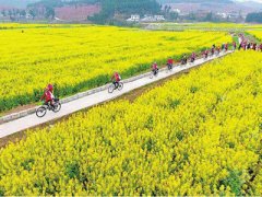 <b>江西萍乡“发力”乡村振兴（图）</b>