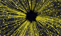 视网膜神经细胞再生或可治眼疾