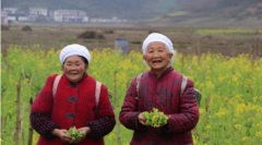 <b>黔高原春耕祭摆出凤凰宴 重庆妹为绿色蔬菜梦入山创业</b>