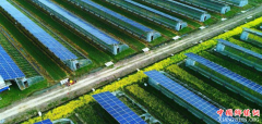 <b>安徽庐江：“光伏+农业”助力乡村发展</b>