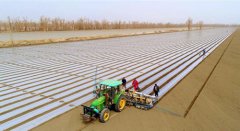 <b>棉花播种忙</b>