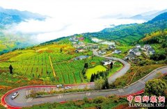 <b>乡村路 别样美</b>