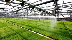 <b>水稻育秧春耕忙</b>