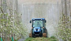 <b>苹果花香忙农事</b>