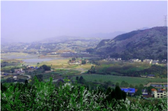 <b>重庆合川：赏花经济带动村民致富增收</b>