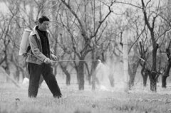 <b>河北：小麦春管正忙时</b>