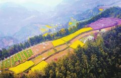 <b>彩色大寨山</b>