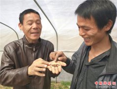 <b>郯城：众能手互“牵手” 残疾人 人喜增收</b>