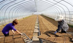 <b>稻区育苗备插秧</b>