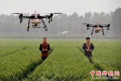 <b>河南：温县无人机田间植保助丰收</b>