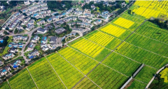 <b>四川泸州江阳区现代农业：三产融合 田园实现三级跳</b>