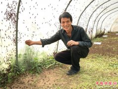 <b>山东郯城：农民借“旱虾”力 来创收“飞蝗腾达”</b>