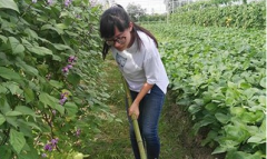 <b>上海浦东新型职业农民尹士丰 水田里种出“小龙虾”</b>