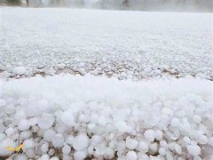<b>泸州叙永：昨日下午冰雹突袭 持续十多分钟积雹近10厘米</b>