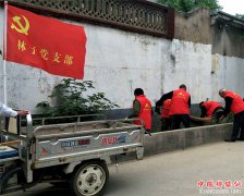 <b>山东郯城：农村党员清理“卫生死角”迎“劳动节”</b>