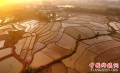 <b>安徽：徐集镇特色小镇风光美</b>