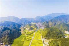 <b>土地流转成为杭州葛塘乡村振兴的新利器</b>