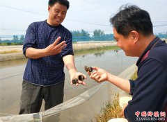 <b>陈敬伟：用好养殖“生物链”每亩水蛭省三千</b>