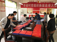 <b>陕西：杏林镇党建督查“常态化”引领基层治理全覆盖</b>