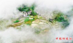 <b>晨雾下的梯田</b>