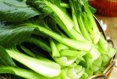 <b>孝感应城以“立收谷”催枯油菜</b>