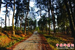 <b>贵州：开阳县推行县乡村三级“林长制”</b>