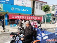 <b>安徽：凤阳县大庙镇开展计划生育“三项制度”宣传活动</b>